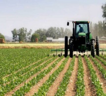 Campagne agricole 2022-2023 : Le budget validé s’élève à 70 milliards de FCFA