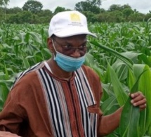 Budget de la campagne agricole porté à 70 milliards : Moussa Baldé mesure les impacts