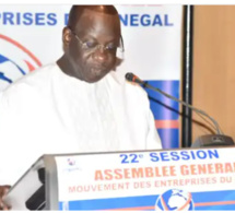 22e session de l’Assemblée générale du MEDS: Mbagnick Diop magnifie le partenariat Public-privé qui existe au Sénégal