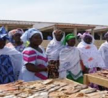 Pêche-Reconnaissance de la transformation artisanale des produits : Les femmes du Refepas exigent leur décret