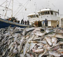 254.770 tonnes de déchets en mer par an, farine de poisson en quantité, surexploitation…: Les eaux marines sénégalaises, en sursis