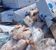 Thiès Le poulet vendu dans des conditions d’hygiène lamentables : Le Service d’hygiène lance une opération coup de poing