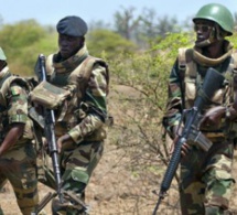 Situation en Casamance: 6 000 déplacés et 30 écoles fermées