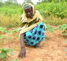 Sécheresse au Mali : African risk capacity verse 7,1 millions dollars américains pour soutenir la population