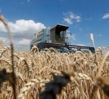 Conflit en Ukraine : Les effets sur la sécurité alimentaire se font déjà sentir au Proche-Orient et Afrique du Nord