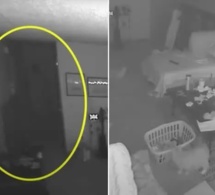 Filmé par une caméra de surveillance, un «fantôme» effraie des chats