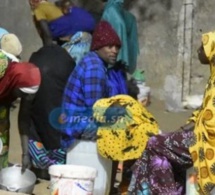 Mendiants nigériens à Dakar: Niamey parle de "trafic illicite de migrants"