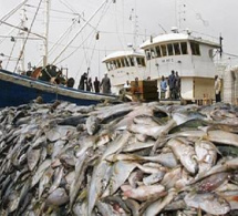 Adama Lam, président de la CNES: « On a donné des licences sur des segments de pêche qui n’existaient ni dans la loi ni dans le code des pêches»,