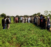 Zones Nord et Centre : Un programme d’amélioration de la connectivité des zones agricoles, bientôt lancé