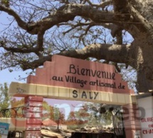 Chute d'un vieux baobab : Un drame évité de justesse au village artisanal de saly portudal