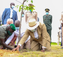 PRESERVATION DES FORETS Greenpeace Afrique salue l’engagement du président Macky Sall