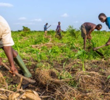 Nouveaux accords de financement : Le Fida accompagne le Sénégal pour aider les populations rurales