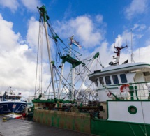 Octroi abusif de licences de pêches aux bateaux étrangers: l'Etat au banc des accusés