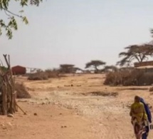 La sécheresse dans la Corne de l'Afrique menace de famine 20 millions de personnes
