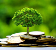 DÉPUTÉS, CONSEILLERS ET HAUT CONSEILLERS SENSIBILISÉS SUR LA FINANCE CLIMATIQUE