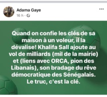 Adama Gaye dénigre Khalifa Sall : "Quand on confie sa maison à un voleur, il la dévalise"