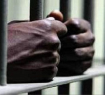 Amadou Dieng risque 10 ans ferme, pour agression à main armée Le soudeur métallique avait échappé de justesse au lynchage