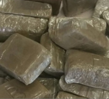 Drogue: La Douane opère à une nouvelle saisie