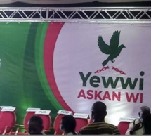 Législatives 2022 : L’expert électoral Ndiaga Sylla et le Pr Ngouda Mboup « repêchent » Yewwi