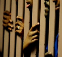 Cambriolage de l’institut Pasteur de Dakar : Woury Bâ et Ismaïla Diallo écopent deux ans de prison ferme