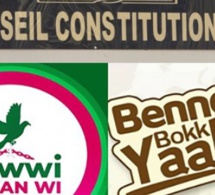 Listes : pourquoi les rejets de YAW et de BBY ont été actés par le Conseil constitutionnel