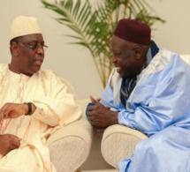 Rumeurs sur une transhumance politique de Serigne Mansour Sy Djamil : Le démenti formel de ses proches de la Diaspora