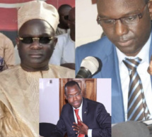 Après ses propos diffamatoires : Les frères de Déthié Fall recadrent Yankhoba Diattara..