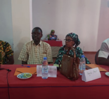 Mise en oeuvre de l'EPU / Plaidoyer pour un comité sénégalais fort : Les médias pour porter le combat