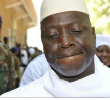 Des milliers de tonnes de bois de rose abattues entre le Sénégal et la Gambie : Yahya Jammeh sous la menace suisse