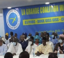 Wallu Sénégal en campagne : Malgré leurs chances jugées maigres, les femmes au charbon