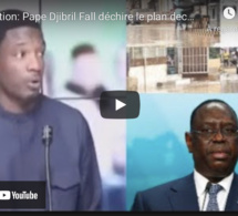 Inondation: Pape Djibril Fall déchire le plan decennal "Niakk Evaluation Moko Waral..."