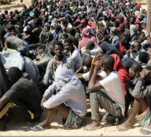 Trafic de migrants à Kédougou : Un mal chronique