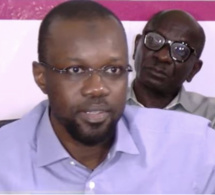 Les jeunes Mackystes tirent sur Sonko : «Il veut installer le chaos afin d’éviter un procès contre Adji Sarr  »