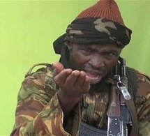 Dix ouvriers chinois enlevés au Cameroun par Boko Haram