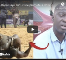 Victoire Balla Gaye sur Gris le promoteur Bamba Faye revient sur la défaite et decortique le combat