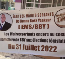 Verdict des Législatives 2022 : l’ELAN de solidarité des maires sortants de BBY à Macky…