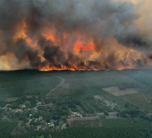 Reprise d'un incendie en Gironde: 6000 hectares brûlés et des milliers d'évacués