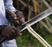 Ndande: Avec sa machette, Bathie Ka écrase le crâne de son père