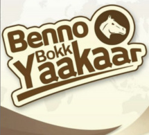 Benno au bord de l’implosion