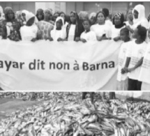 Non respect du code de l’environnement : Cayar dans la rue ce samedi pour dénoncer l’usine de farine de poissons «Barna»