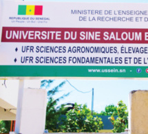 Kaolack Gestion de l’université du Sine Saloum El Hadji Ibrahima Niass : Les enseignants chargent le Rectorat
