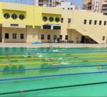 Bataille rangée à la Piscine Olympique: Arrêt des activités de la natation sénégalaise