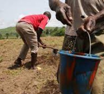Tchad : le génie militaire met ses ingénieurs, soldats et matériel au profit des agriculteurs
