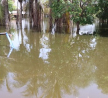 Inondations à Sangalkam: Le ministre Oumar Gueye en visite de terrain préconise des solutions urgentes