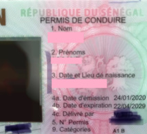 Cheikh Oumar Gaye, directeur de l’Agence nationale de sécurité routière : «Il faut un délai de trois ans pour l’application du permis à points»