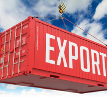 Nouvelle destination des exportations de l’Argentine en Afrique : Dakar, un corridor ciblé par le Gouvernement de Buenos Aires