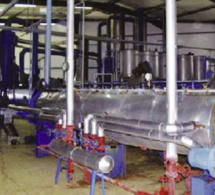 Installation d’usines de farine de poisson au Sénégal : Le ministère serait en train de travailler pour mettre en place un cadre règlementaire