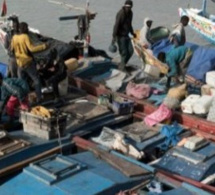 Pêche illicite non déclarée et non réglementée : Des pertes annuelles de 26 millions de tonnes de poisson