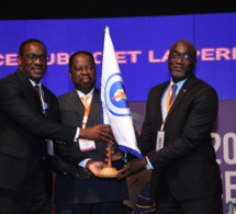 PERSPECTIVES DES SOCIETES D’ELECTRICITE EN AFRIQUE : Les douze travaux d’Hercule