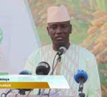 Agriculture : Les producteurs Sénégalais ont reçu un don de 25.000 tonnes d'engrais de l'OCP.